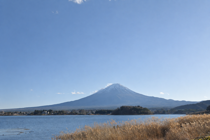 湖岸枯草與晴空下的富士山