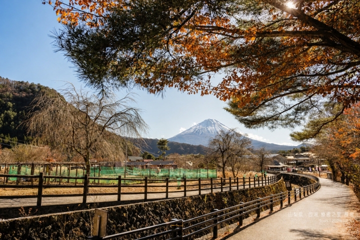 秋日步道與枝葉間的富士山