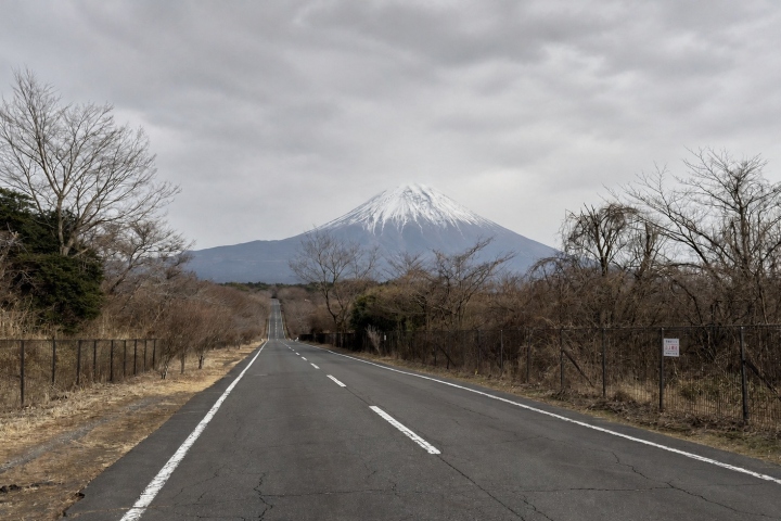 冬日林間道路正對遠方的富士山