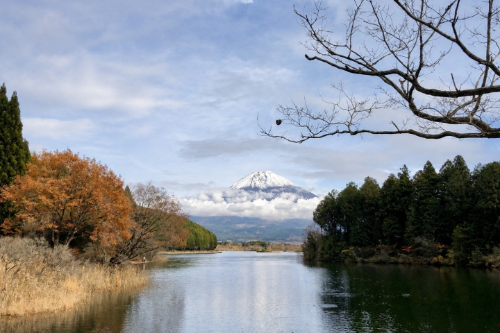 秋日樹林環繞的平靜水道與遠山