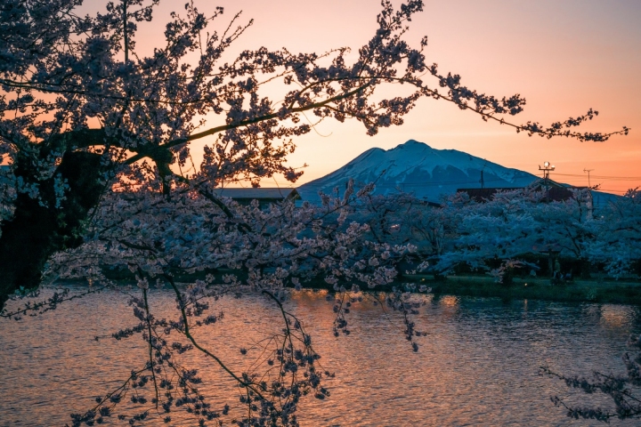 橘色夕空下的櫻花枝條、遠山與水面