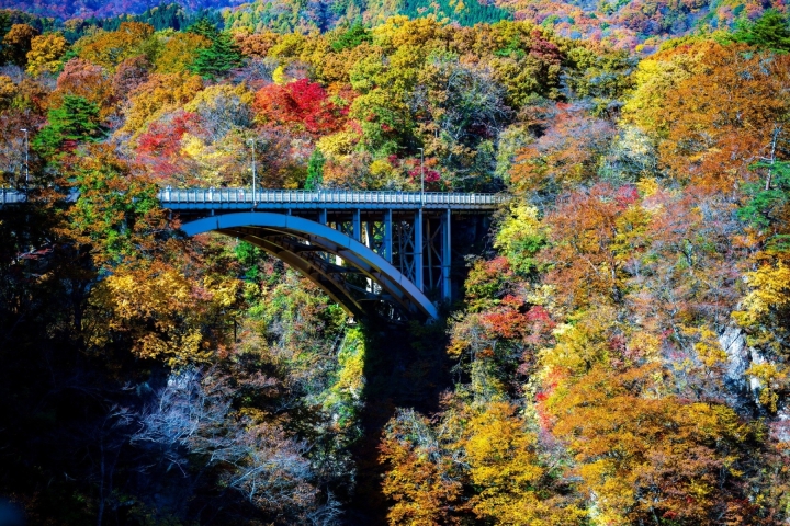 藍色拱橋橫跨溪谷，兩岸樹林呈現紅黃綠秋色