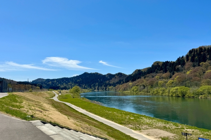 藍天下的河岸草地步道與平靜水面