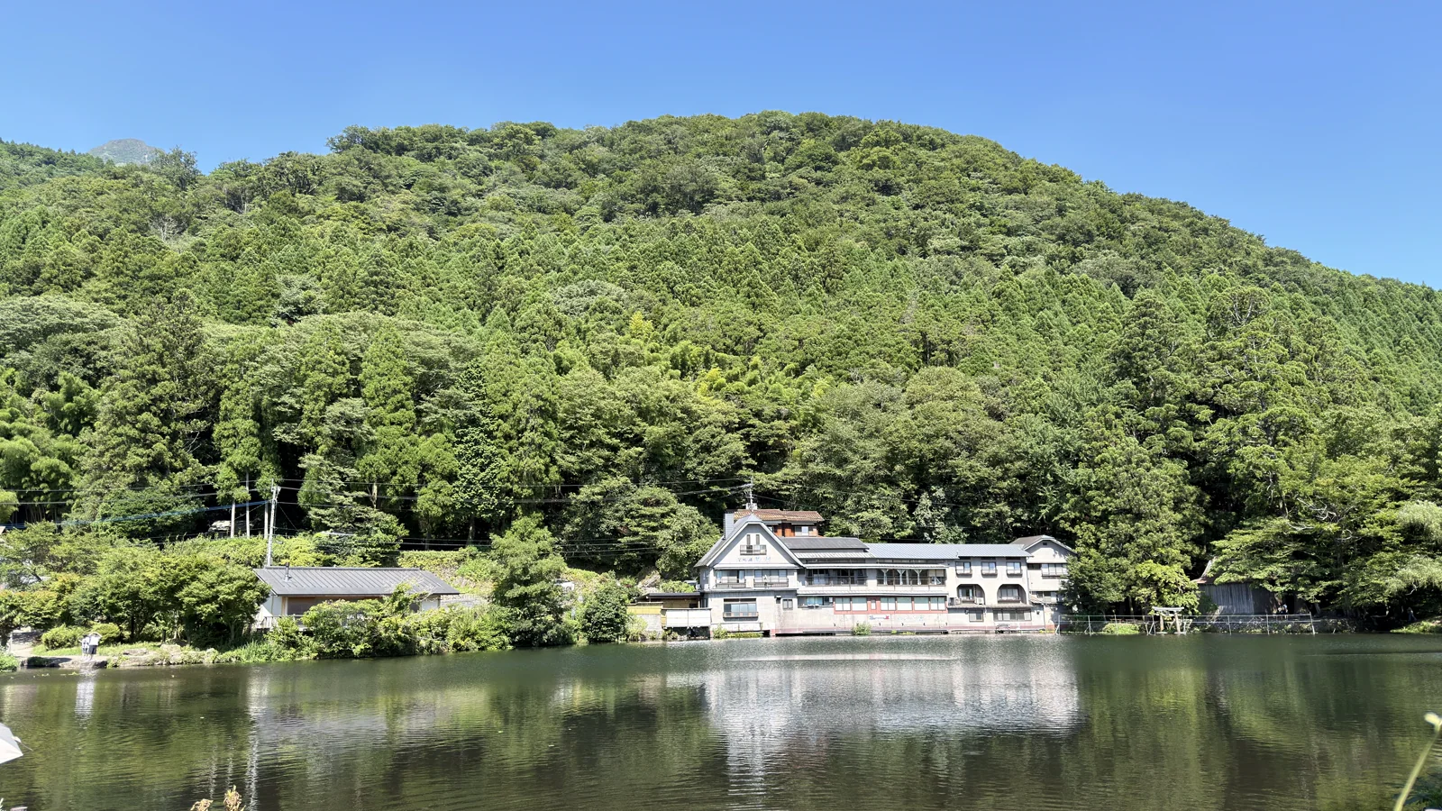 金鱗湖畔